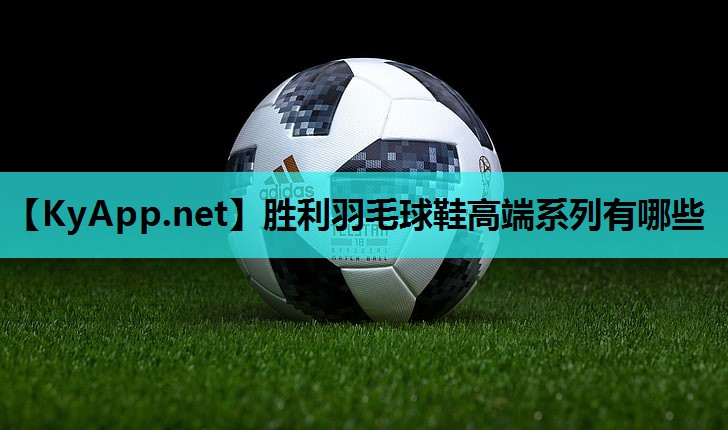 胜利羽毛球鞋高端系列有哪些