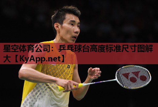 乒乓球台高度标准尺寸图解大 乒乓球台高度标准尺寸图解大